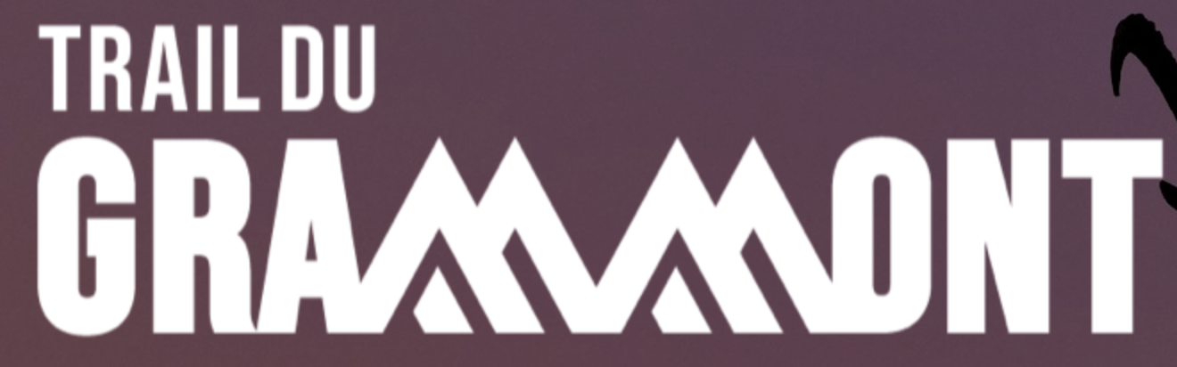 Logo de la Swiss Peaks